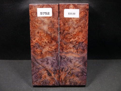 Stabilized Double Dyed Box Elder Scales SW5752