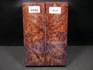 Stabilized Double Dyed Box Elder Scales SW5752
