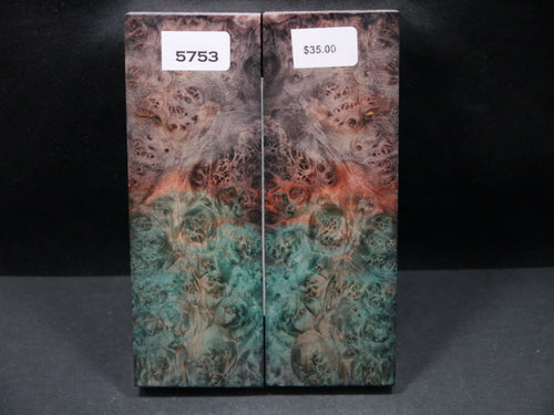 Stabilized Double Dyed Box Elder Scales SW5753