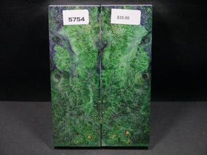 Stabilized Double Dyed Box Elder Scales SW5754