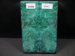 Stabilized Double Dyed Box Elder Scales SW5755