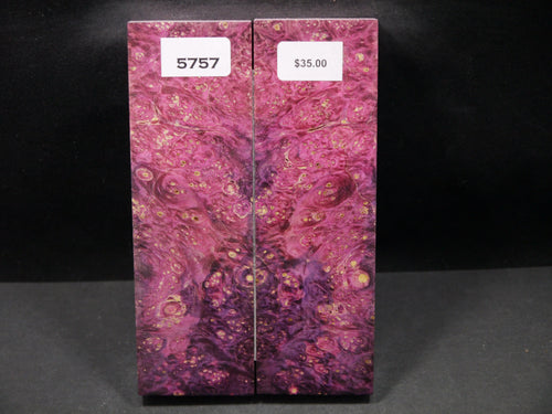Stabilized Double Dyed Box Elder Scales SW5757