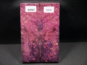 Stabilized Double Dyed Box Elder Scales SW5757