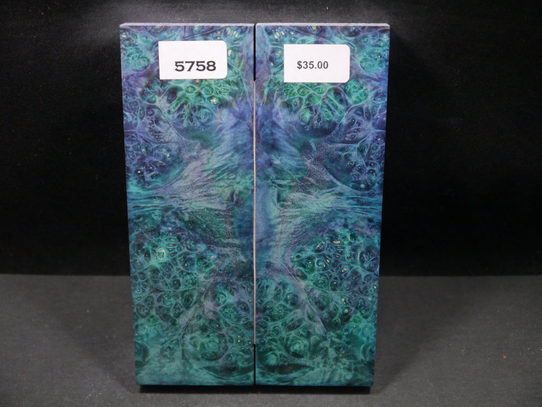 Stabilized Double Dyed Box Elder Scales SW5758