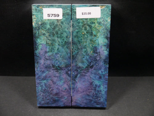 Stabilized Double Dyed Box Elder Scales SW5759