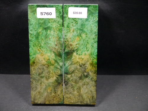 Stabilized Double Dyed Box Elder Scales SW5760