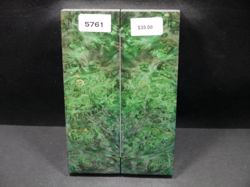 Stabilized Double Dyed Box Elder Scales SW5761