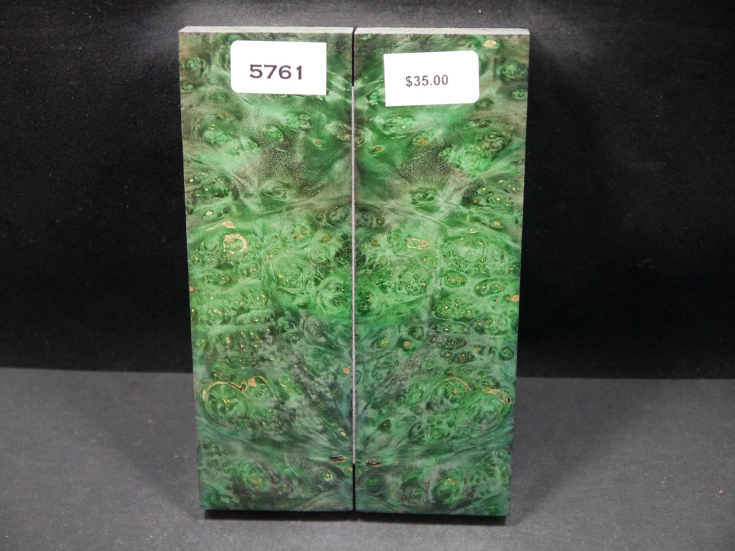 Stabilized Double Dyed Box Elder Scales SW5761