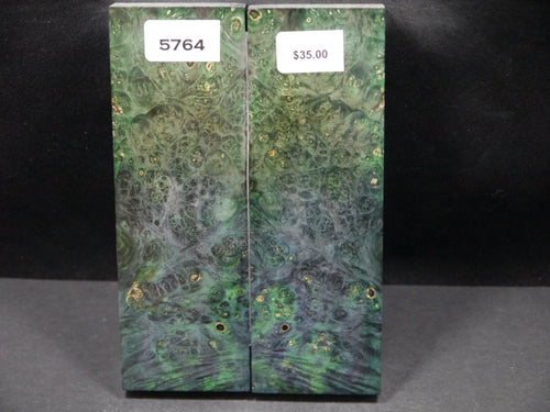 Stabilized Double Dyed Box Elder Scales SW5764