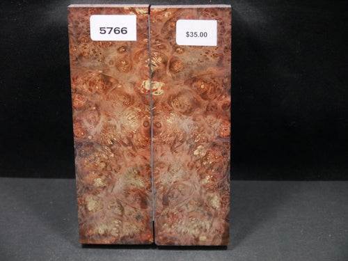 Stabilized Double Dyed Box Elder Scales SW5766