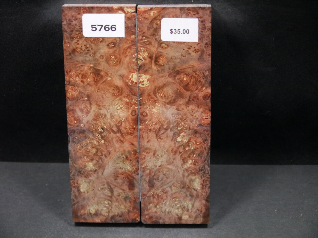 Stabilized Double Dyed Box Elder Scales SW5766
