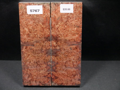 Stabilized Double Dyed Box Elder Scales SW5767