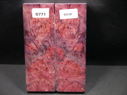 Stabilized Double Dyed Box Elder Scales SW5771