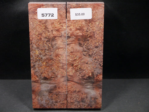 Stabilized Double Dyed Box Elder Scales SW5772