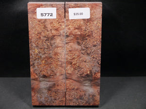 Stabilized Double Dyed Box Elder Scales SW5772