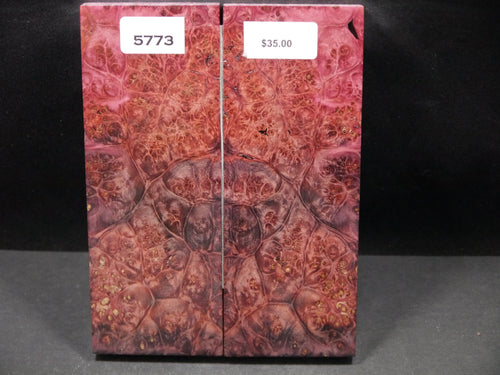 Stabilized Double Dyed Box Elder Scales SW5773
