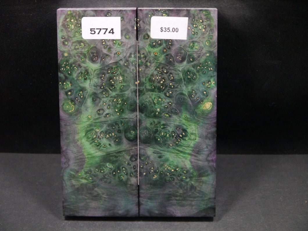 Stabilized Double Dyed Box Elder Scales SW5774