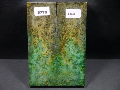 Stabilized Double Dyed Box Elder Scales SW5775