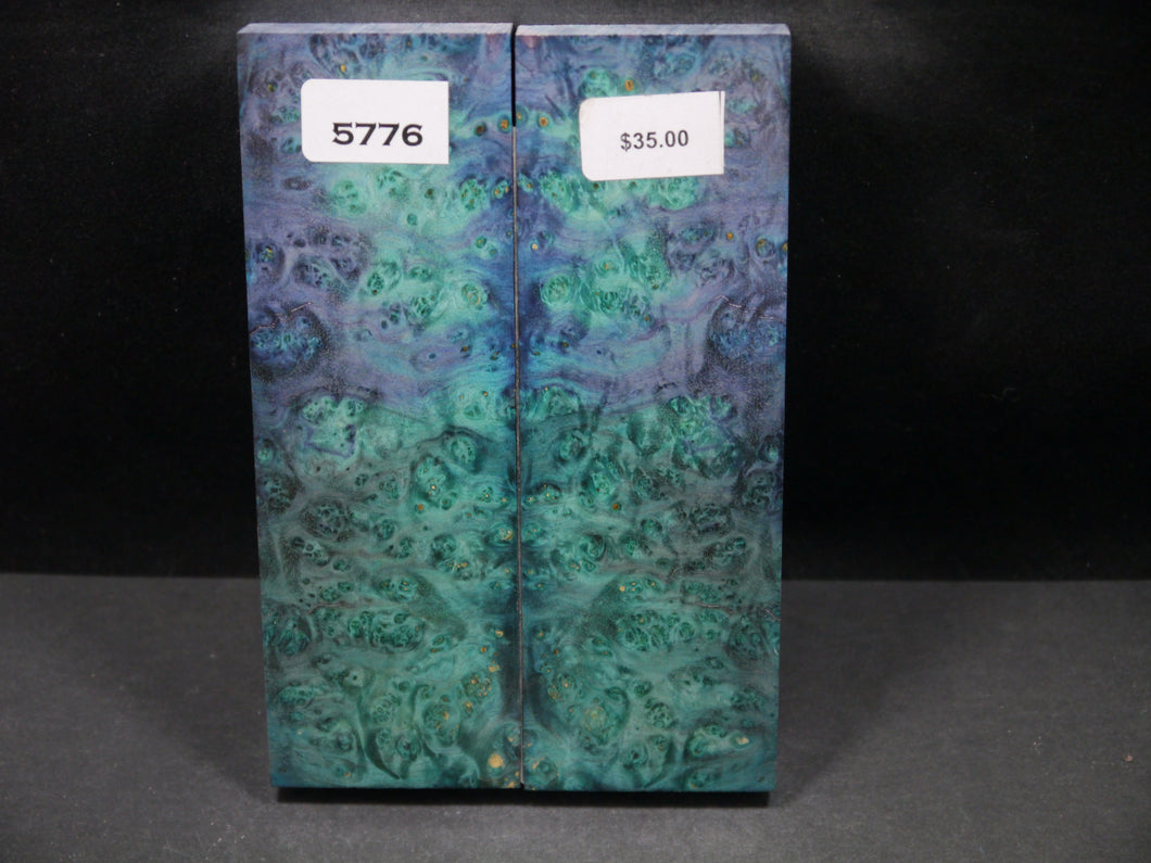 Stabilized Double Dyed Box Elder Scales SW5776