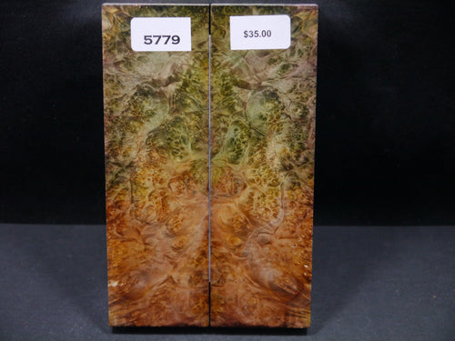 Stabilized Double Dyed Box Elder Scales SW5779