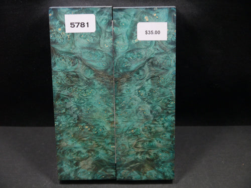 Stabilized Double Dyed Box Elder Scales SW5781