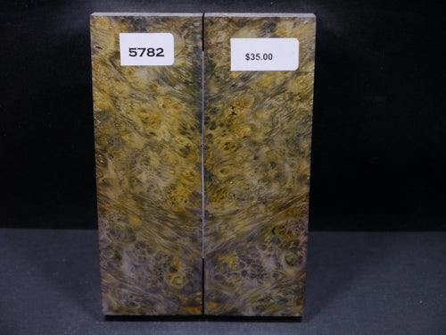 Stabilized Double Dyed Box Elder Scales SW5782