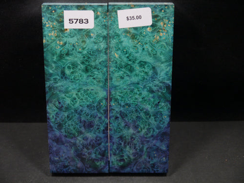 Stabilized Double Dyed Box Elder Scales SW5783