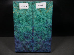 Stabilized Double Dyed Box Elder Scales SW5783