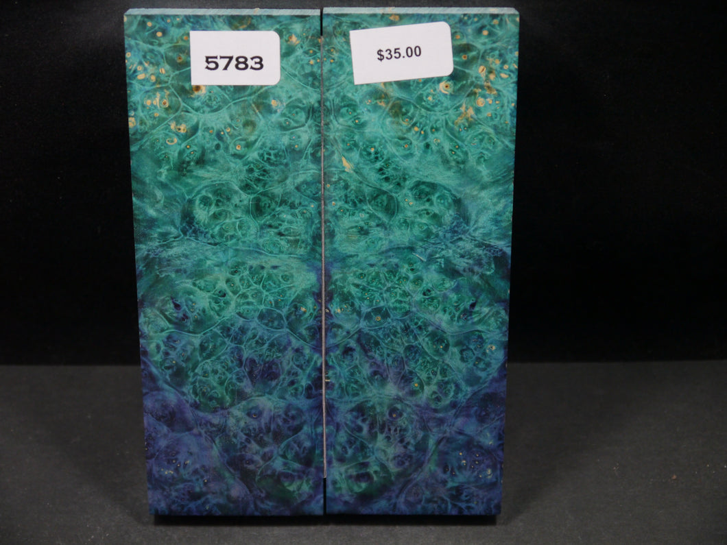 Stabilized Double Dyed Box Elder Scales SW5783
