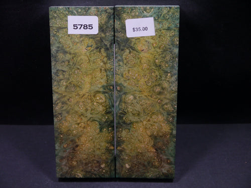 Stabilized Double Dyed Box Elder Scales SW5785