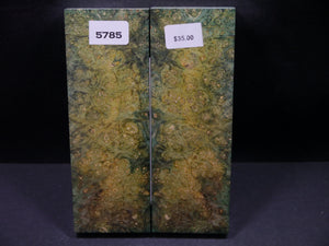 Stabilized Double Dyed Box Elder Scales SW5785