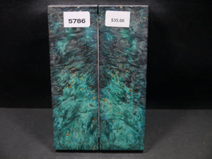 Stabilized Double Dyed Box Elder Scales SW5786