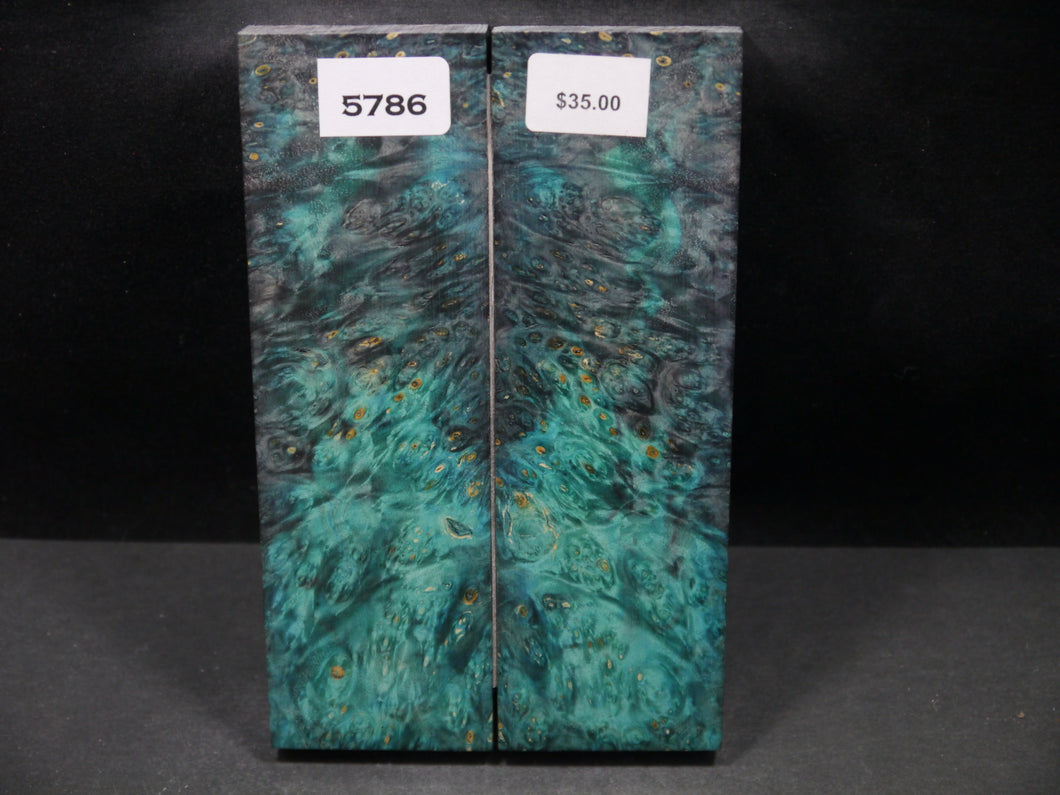 Stabilized Double Dyed Box Elder Scales SW5786