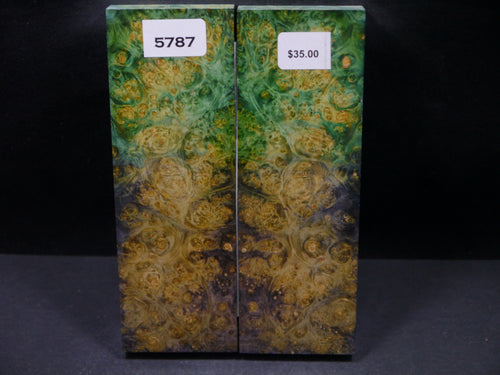 Stabilized Double Dyed Box Elder Scales SW5787