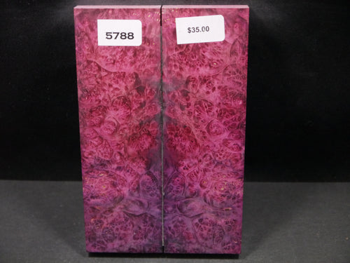 Stabilized Double Dyed Box Elder Scales SW5788