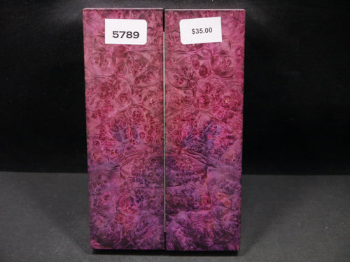 Stabilized Double Dyed Box Elder Scales SW5789