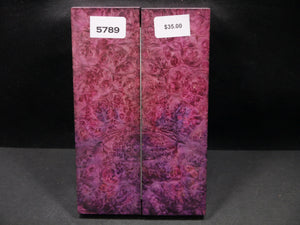 Stabilized Double Dyed Box Elder Scales SW5789