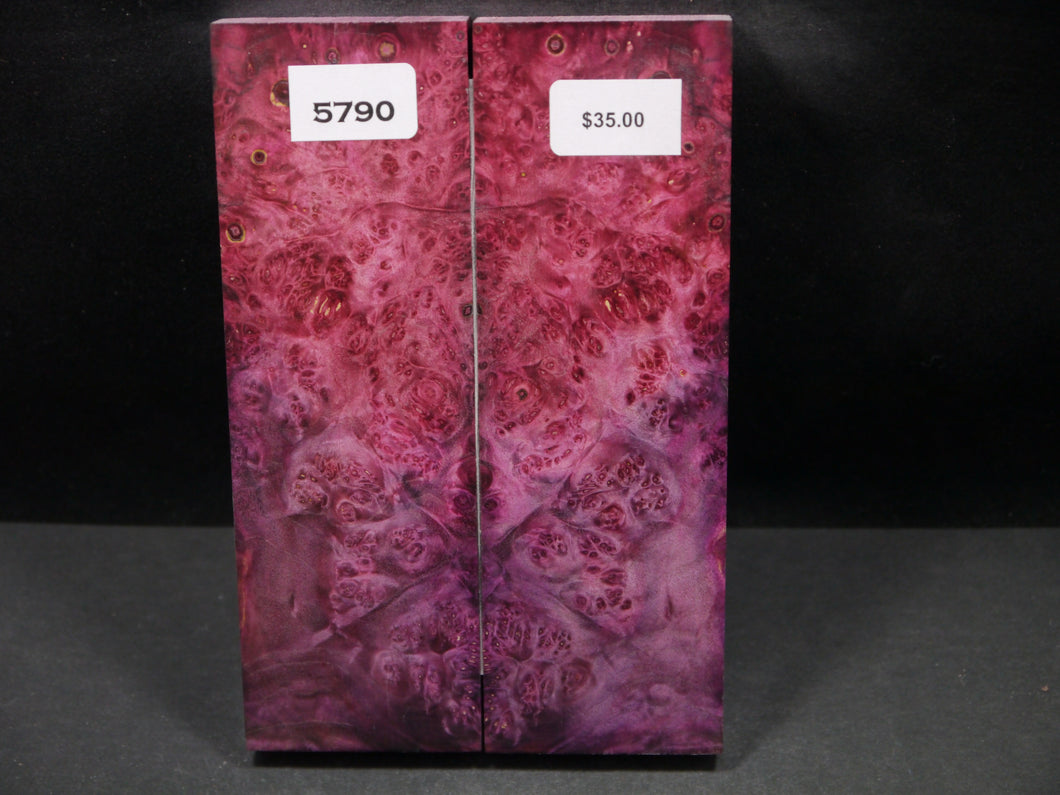 Stabilized Double Dyed Box Elder Scales SW5790