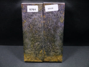Stabilized Double Dyed Box Elder Scales SW5791