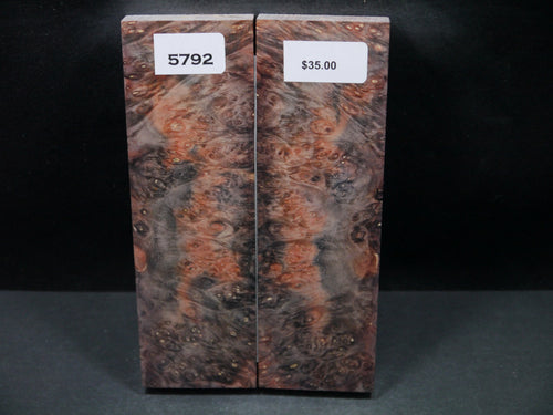 Stabilized Double Dyed Box Elder Scales SW5792