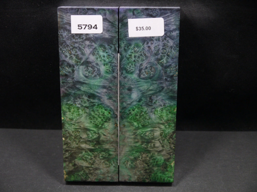 Stabilized Double Dyed Box Elder Scales SW5794