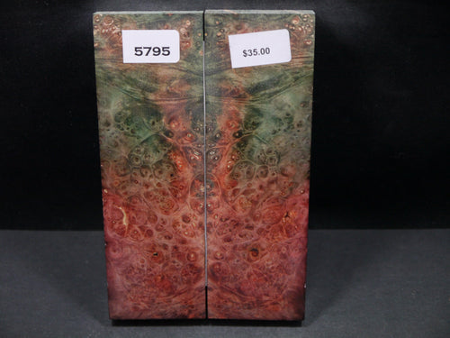Stabilized Double Dyed Box Elder Scales SW5795