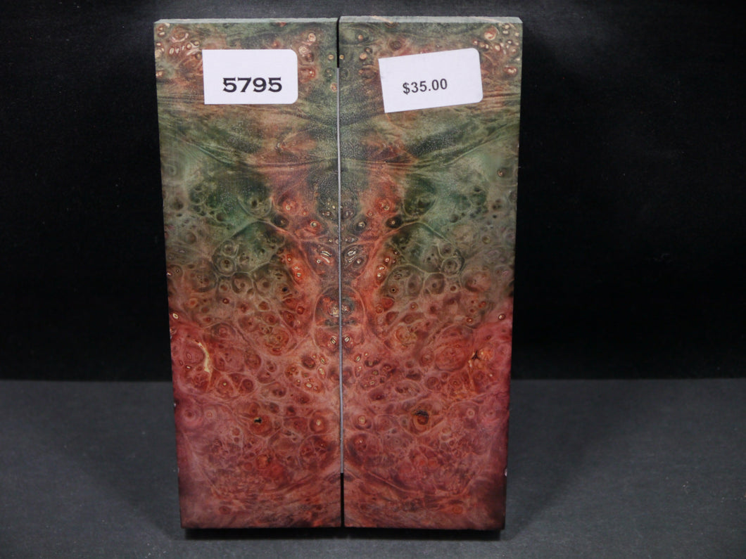 Stabilized Double Dyed Box Elder Scales SW5795