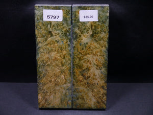 Stabilized Double Dyed Box Elder Scales SW5797