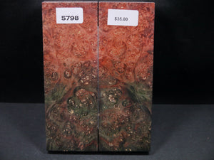 Stabilized Double Dyed Box Elder Scales SW5798