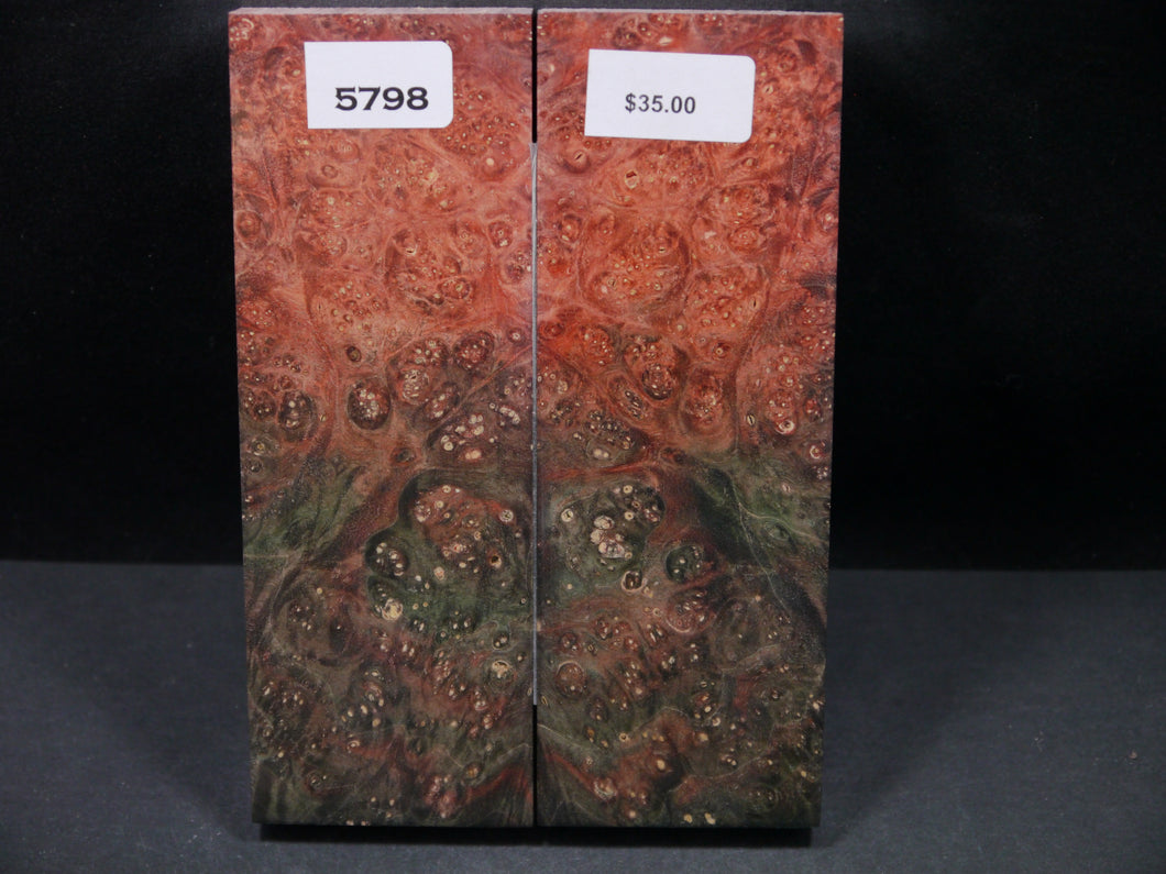 Stabilized Double Dyed Box Elder Scales SW5798