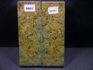 Stabilized Double Dyed Box Elder Scales SW5801
