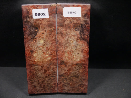 Stabilized Double Dyed Box Elder Scales SW5802
