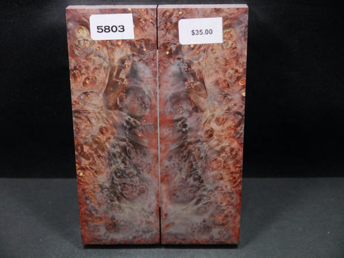 Stabilized Double Dyed Box Elder Scales SW5803