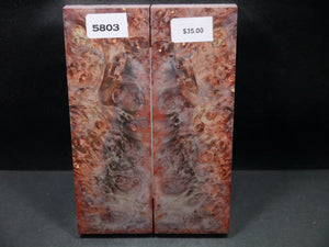 Stabilized Double Dyed Box Elder Scales SW5803